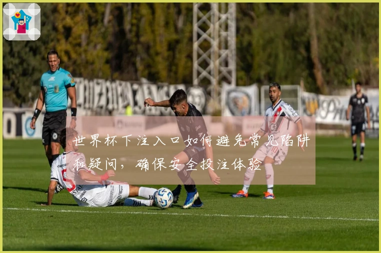 世界杯下注入口如何避免常见陷阱和疑问,确保安全投注体验