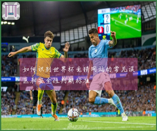 如何识别世界杯竞猜网站的常见误区和安全性判断标准
